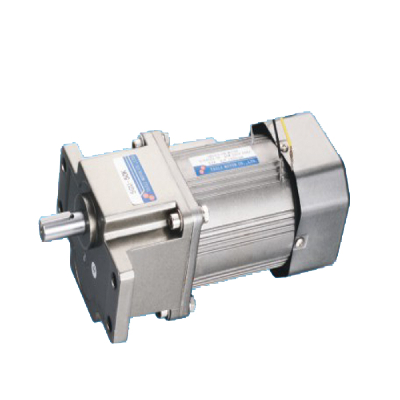 110V/220V60W  Induction AC Gear Motor