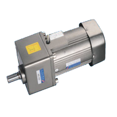 110V/220V300W  Induction AC Gear Motor