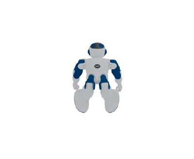 R1019 Robot