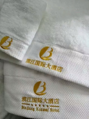 The hotel towel