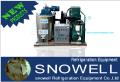 Flake ice machine