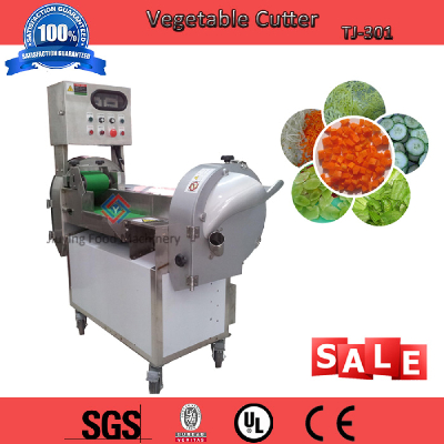 Specialized TJ-301 Multifuctional Industrial Vegetable Cutter Machine