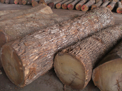 logs oak