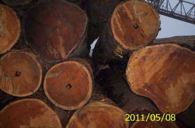 logs oak