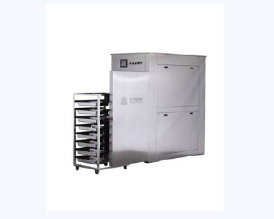 ZSLG fruit and vegetable vacuum rapid cooling packaging machine