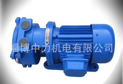sk-0.4 Vacuum pump