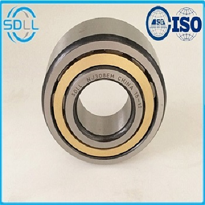 Contemporary hot sale cylindrical roller bearing one way NJ204