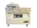 DZ(Q)400-2Svacuum packing(gas filling) machine