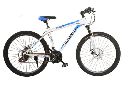 Disc 21 speed Siamese refers to the mountain bike