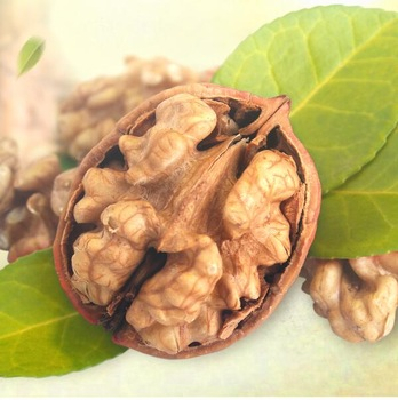 Best foods products on MAKERONLY for bakery walnut meat distributor
