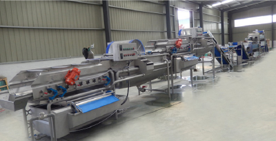 Fruit and vegetable cleaning equipment