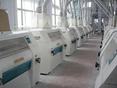 Flour processing equipment