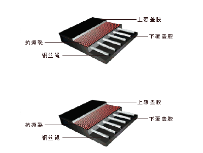 Bucket elevator  conveyor belt