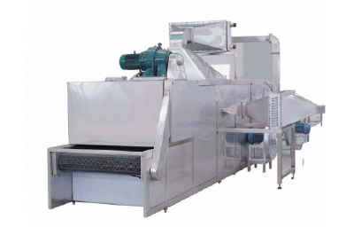 DWT Series Mesh-Belt Dryer