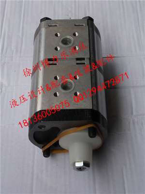 Double pump displacement 14+8, Casappa double gear pump, one in two out, cone shaft