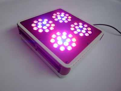 New revolutionary products apollo 4 full spectrum led grow lights/300 watt led grow lights