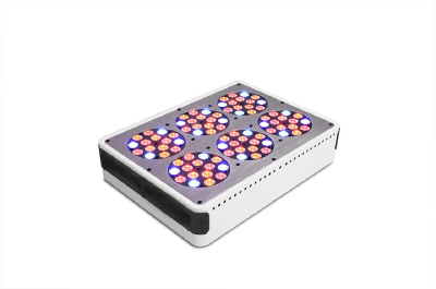 Greenhouse application hydroponic grow systems led lights cidly full spectrum apollo 6 led grow light 200w