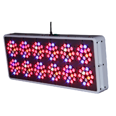 apollo12 full spectrum led grow lights hydroponics