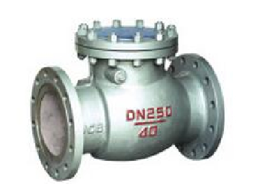 Swing check valve