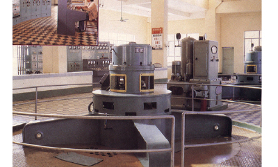 Kaplan/Propeller Turbine