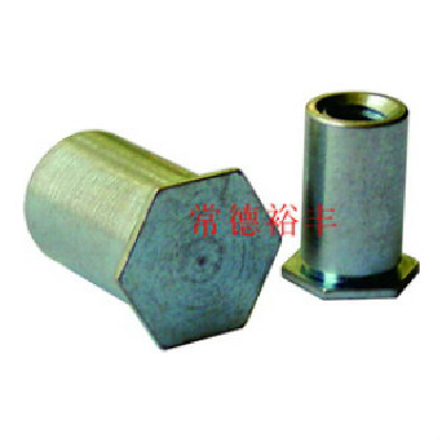 Rivet nuts,Blind hole pressure rivet nut column