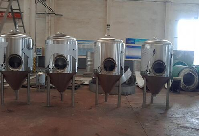 500L beer fermentation equipment