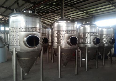 600L fermentation tank