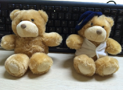 Plush toy bear Teddy