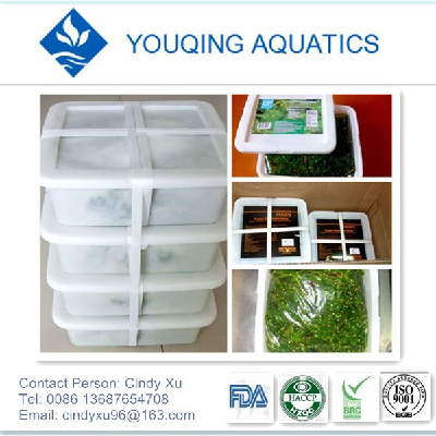 frozen seaweed salad with 2kg boxes