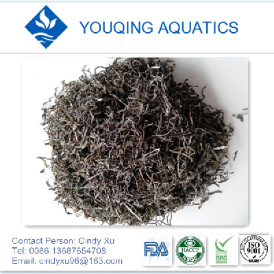dried kombu wakame,seaweed
