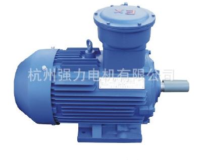 Explosion proof motor Explosion proof motor