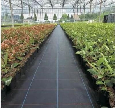 garden weed mat fabric