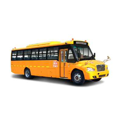 School buses SLG6970X