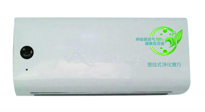 Commercial high efficiency air purifier