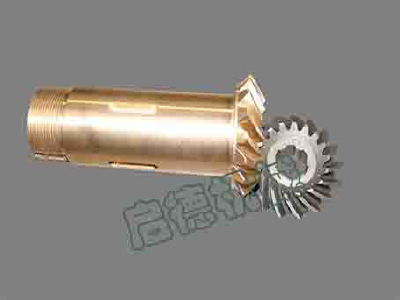 Gear for machine tool