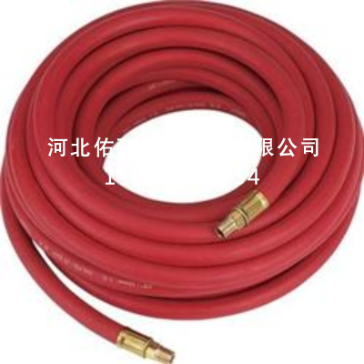 Steam hose