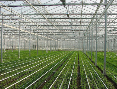 Greenhouse steel  tube