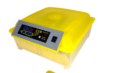 Mini full automatic 48 eggs hatching machine