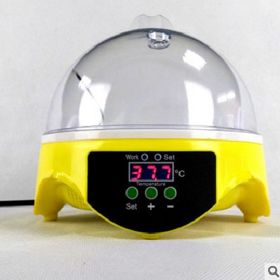 7 eggs small incubator
