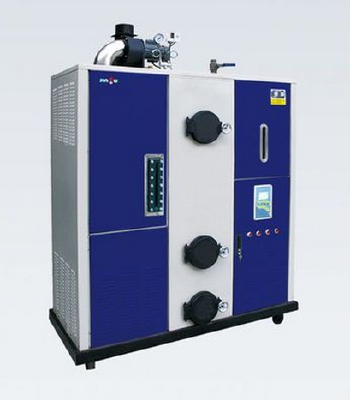 100KG biomass steam generator