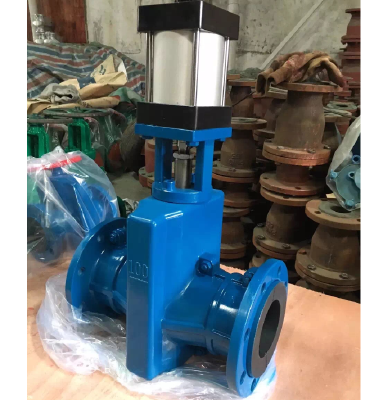 Pneumatic pipe clamp valve