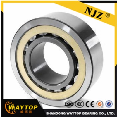 China Shandong bearing manufacturer OEM  NN3005K    Cylindrical roller bearing