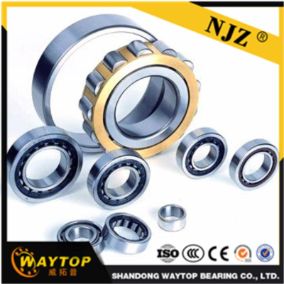 ShanDong WAYTOP bearing  NN3006K   Cylindrical roller bearing