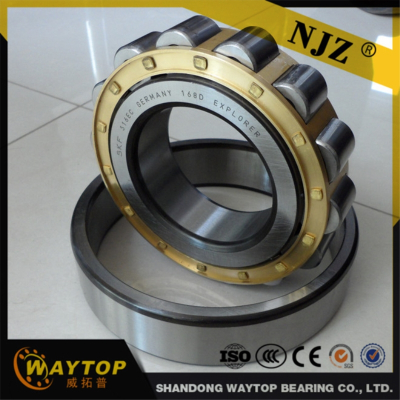 Cylindrical roller bearing    NN3009   high quality low price