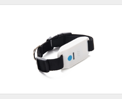 Pet locator