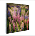 Ustorm20(Outdoor Fixed LED display) Features: 1.New generation of super-thin LED displayscreen, with high brightness and wide view angle 2.High grey level and high refresh rate,obtain ultimate visual