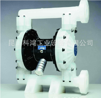 Magnetic pump