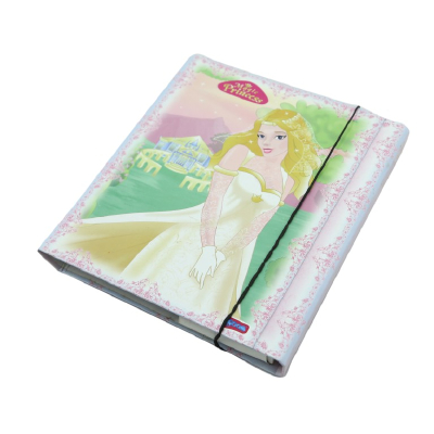 China supplier foldable stationery customized a3 box file