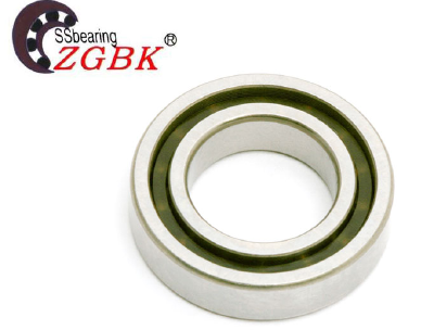 6800 SERIES Stainless steel bearing