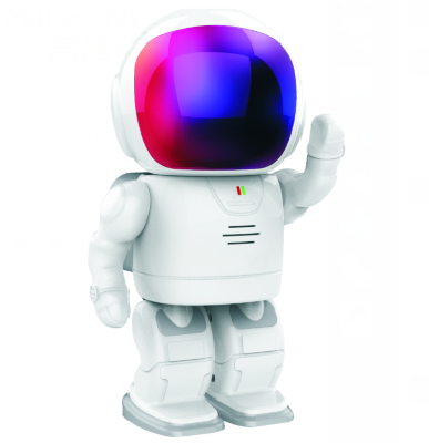 Monitor robot